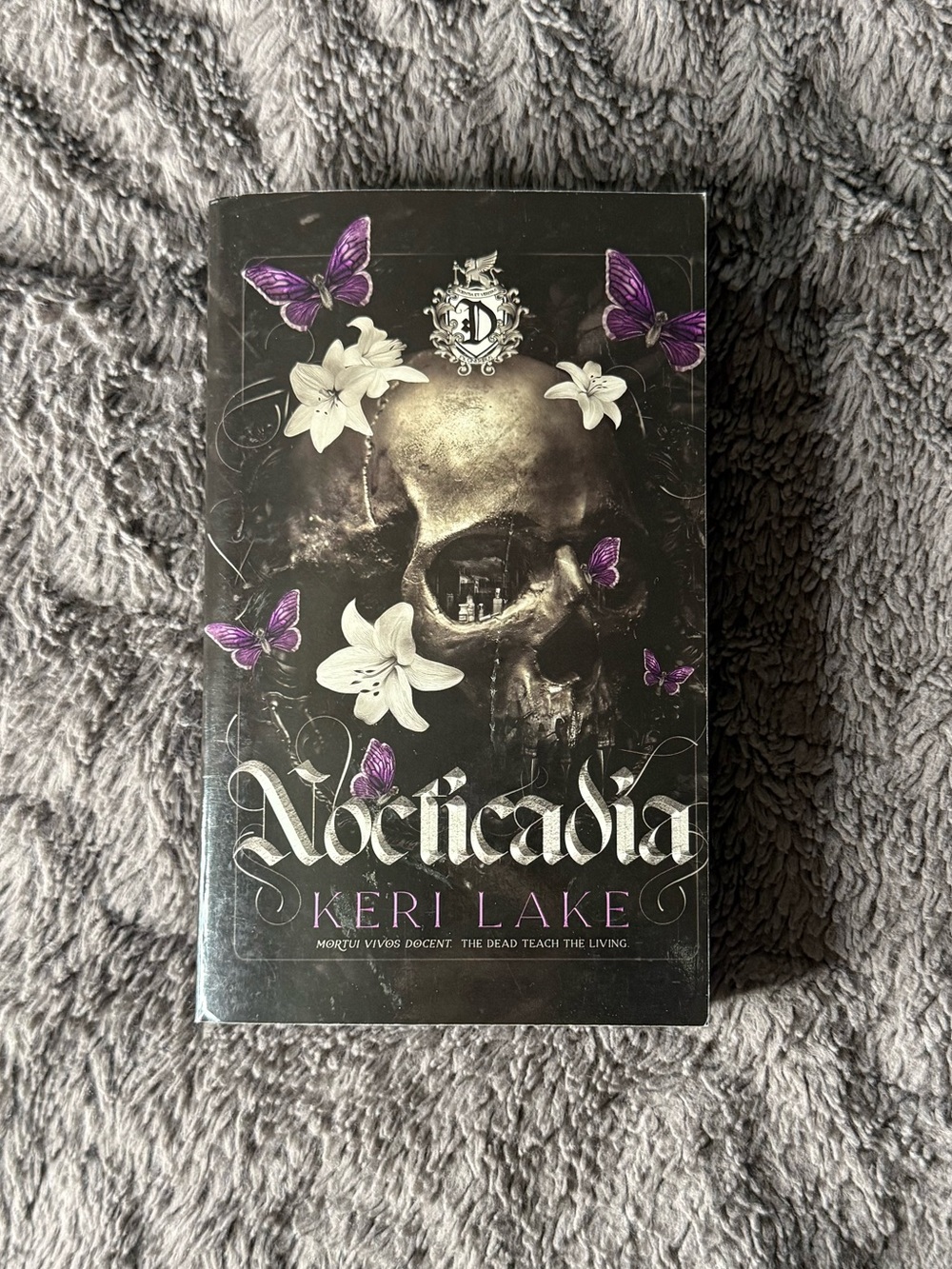 Nocticadia by Keri Lake